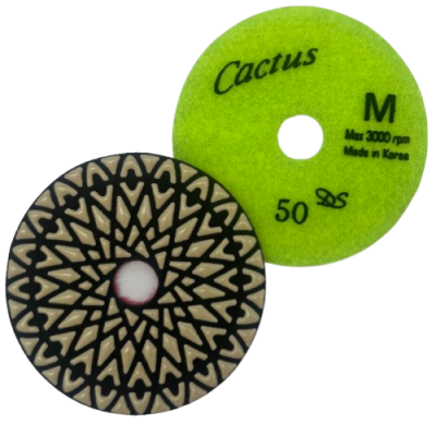 Cactus M